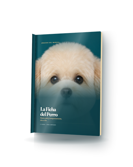 La Ficha del Perro