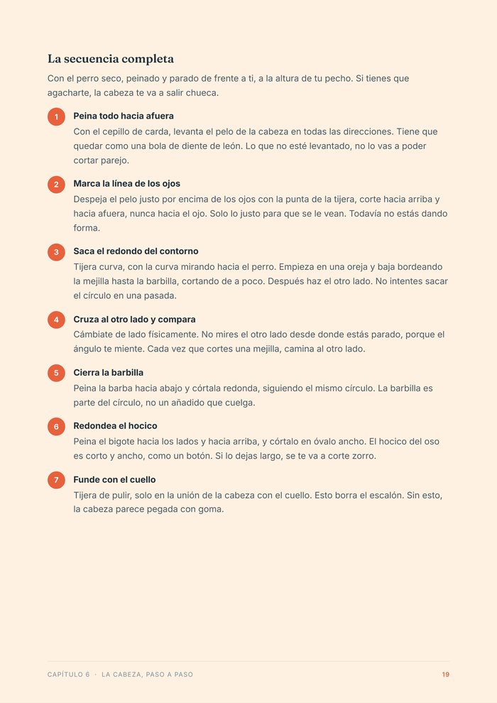 La construcción de la cabeza